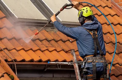 Démoussage et hydrofuge de toiture à Feusines
